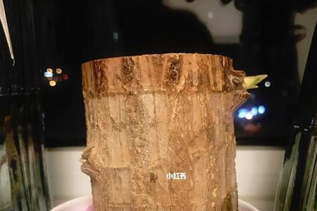 巴西木正反面怎么分辨