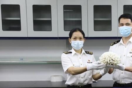 帮别人装卸私货怎么处罚