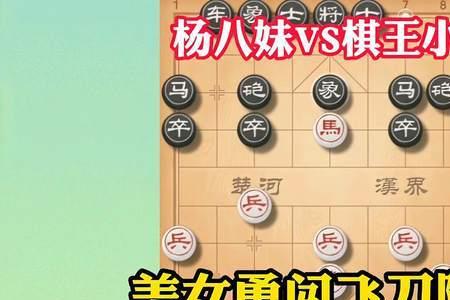 王铁锤和王天一对战是不是真的