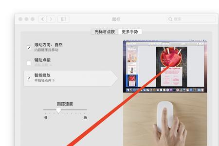 MAC电脑鼠标一直转圈怎么解决