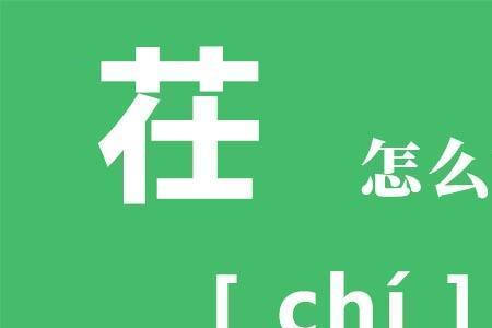 草字头庄读音是什么