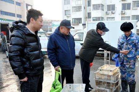 青岛钓八带鮹时间