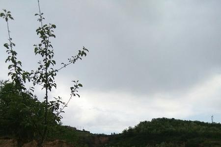 延安与洛川是一个地方吗