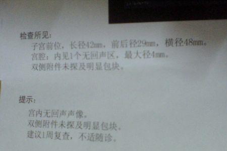 两周后是指多少天