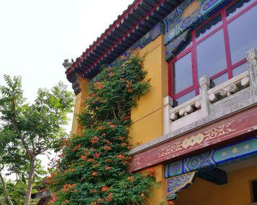 天津挂甲寺开门吗