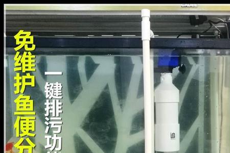 鱼马桶放在鱼缸什么位置最好