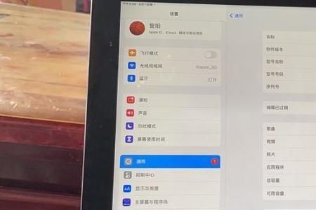 ipadpro2022可以编程吗