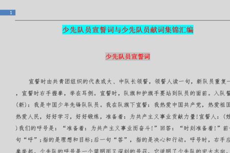 优秀少先队员代言词10个字