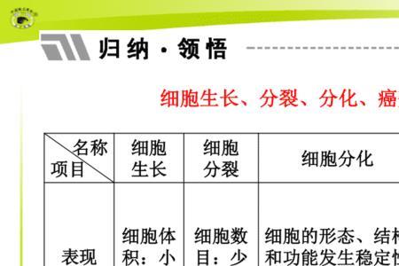 分裂和分解的区别