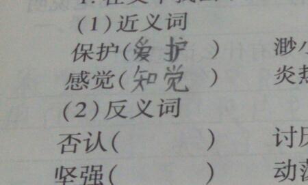 亲临近义词