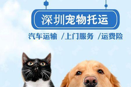 成都汽车站宠物托运怎么取