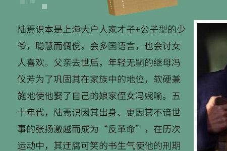 陆犯焉识的介绍