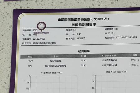 什么时候猫咪需要查pcr