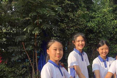 深圳彩田学校初中部怎么样