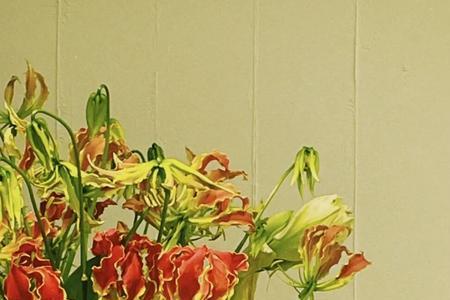 花的浪漫是它本身下一句