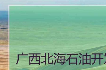 广西哪个大专有石油专业