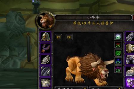 tbc德鲁伊练级1到60最快的方法