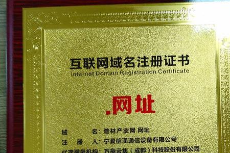 国际域名证书有效期