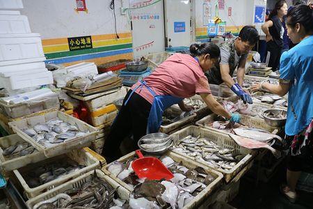 青岛栈桥附近有海鲜早市吗