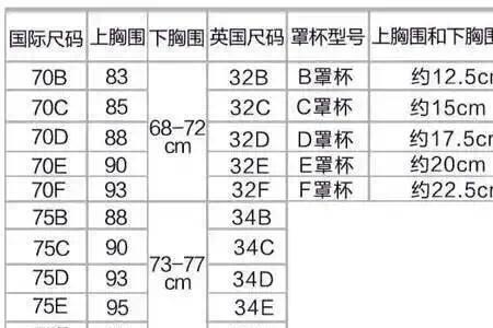 胸围158一般是多少