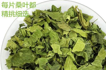 桑叶黄了还能做茶吗