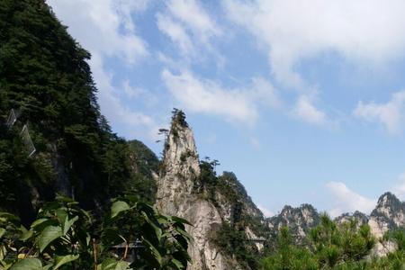 大明山有狼吗