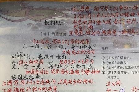 三上第一课用荡漾造句