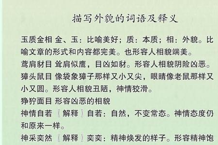 相貌不凡近义词