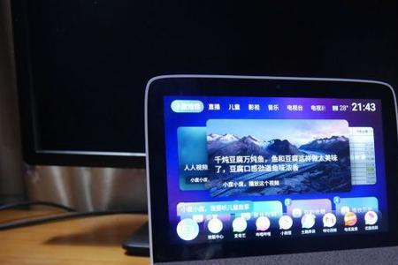 怎么查看小度型号