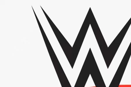 wwe规则是怎样规定的