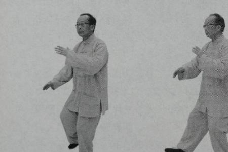 杨氏太极拳85式如何发力