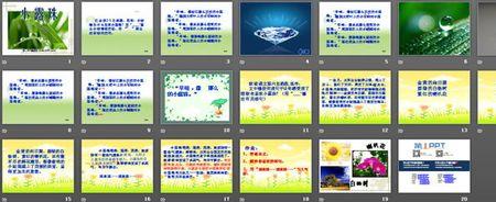 小动物们为什么喜欢小露珠