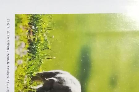 天地万物打一动物