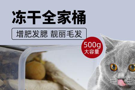 猫粮可以装在整理箱里吗