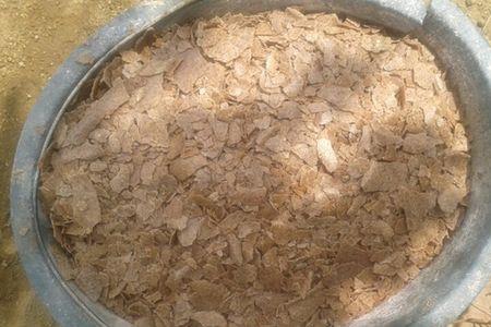 石鲮鱼的绝佳饵料配方