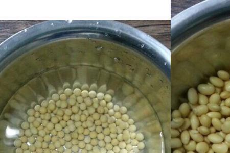 黄豆皮泡掉了还能发芽吗