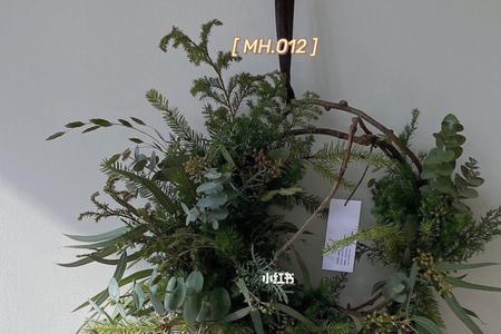 开花圣诞树天热可以开吗