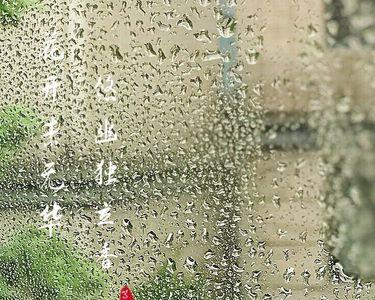 听风戏雨的意思