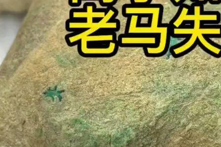 老马失蹄有什么典故