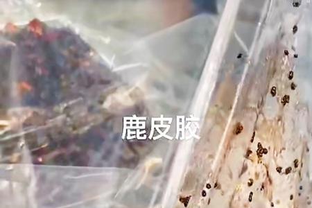 鹿皮是怎样熬制阿胶的
