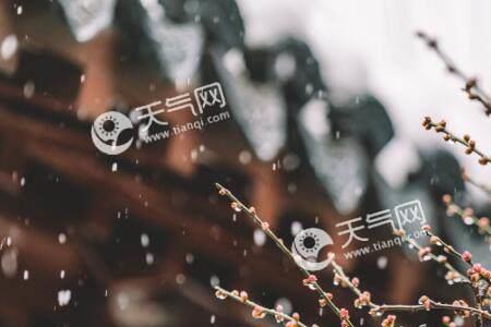 立春有雾好吗