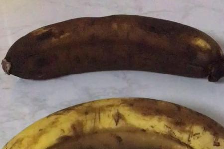 梳皮子最科学的方法