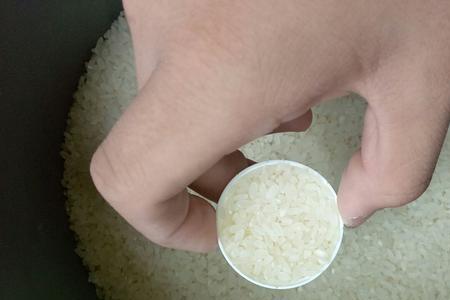 一百克米饭有多少颗米