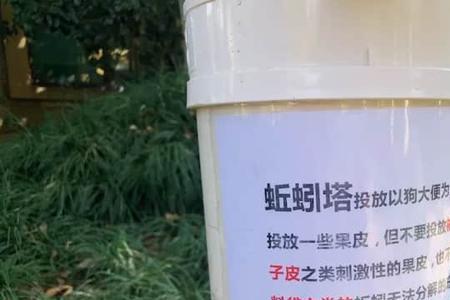 蚯蚓塔多久清理一次