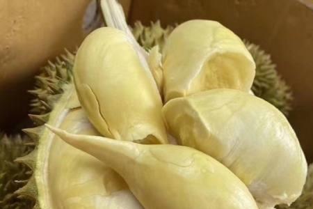 没熟的榴莲可以放烤火炉上烤吗