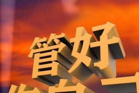 solo追星包括微博签到吗