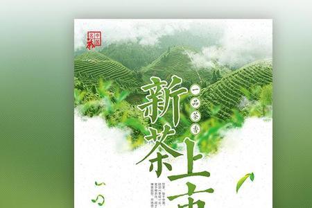 网名茶韵清香意思是什么