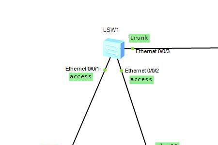 trunk端口是否要加入vlan