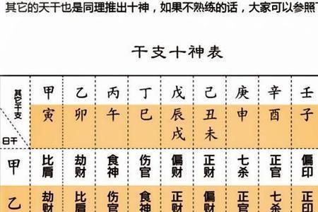 食神助官什么意思