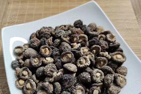 珍珠菇怎么泡发